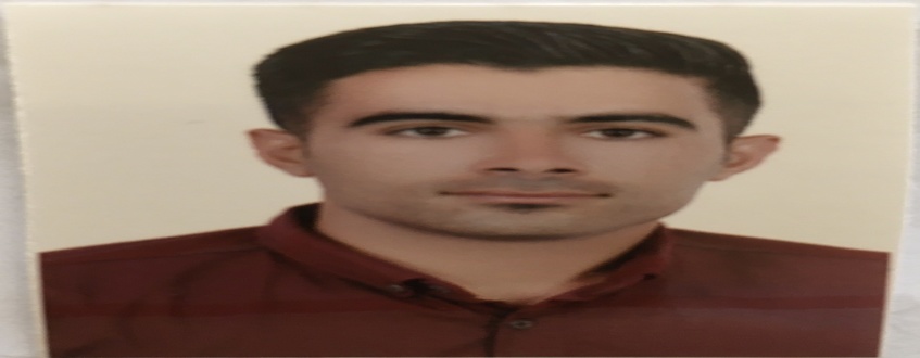 پوریا تیموری
